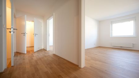 SCHEIBBS XXIII/1 - Foto 2