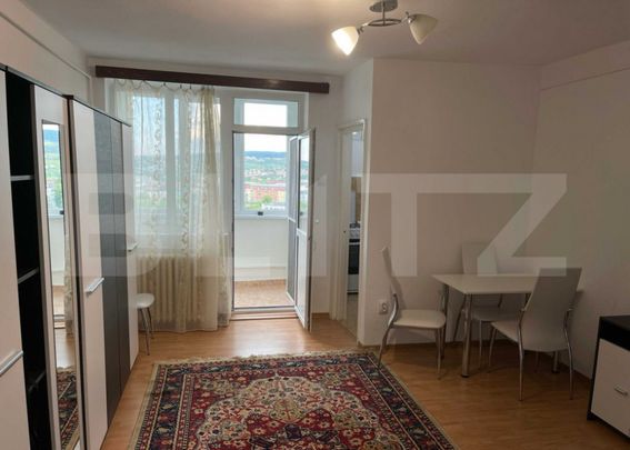 Garsoniera Catfriendly, 30 mp, zona Mega Image, str. Brancus - Fotografie 1