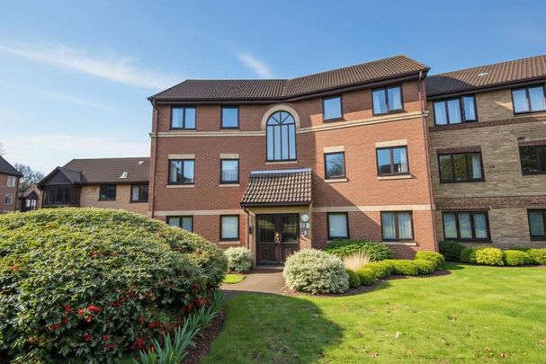 1 bedroom apartment to rent - Photo 1