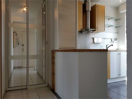 Location Appartement 101.56 M² SAINT-LOUIS 1 240 € - Photo 5