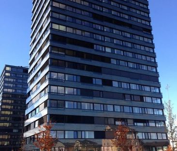 3.5 Zimmer, 80 m², 7. Stock - Photo 5