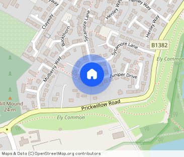 Guelder Rose, ELY, Cambridgeshire, CB7 - Photo 1