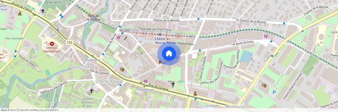 1225, chêne-bourg, Rue Peillonnex, 33