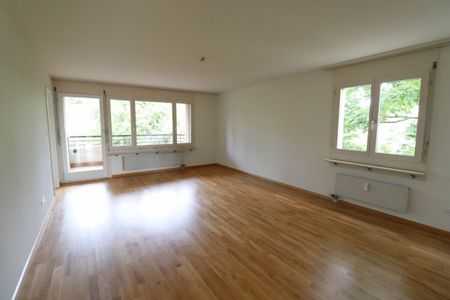 Nähe Morgartenring und Schützenmattpark - Gemütliche 3 1/2 Zimmer-Wohnung in Allschwil - Foto 2