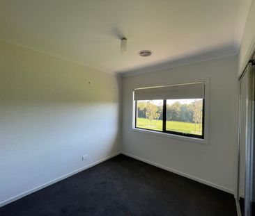 Gorgeous & Modern Home in Kialla! - Photo 3