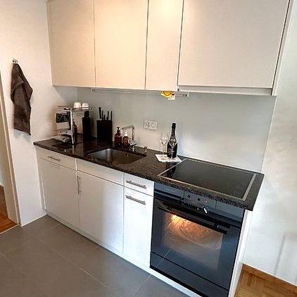 2½ Zimmer-Wohnung in Zürich - Kreis 7 Hottingen, möbliert, auf Zeit - Photo 1