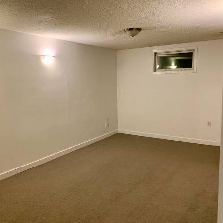 Spacious 1-Bedroom Basement for Rent - Photo 3