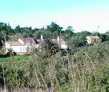 Moradia T3 - Photo 1