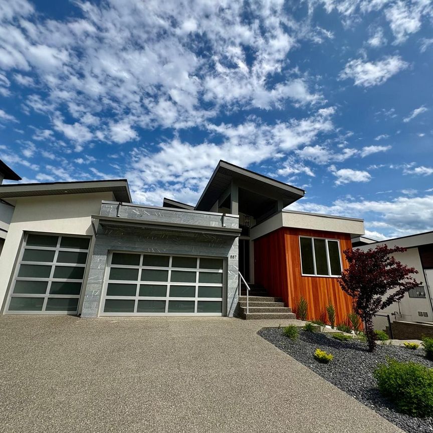 Brand New walkout in Black Mountain - Photo 1