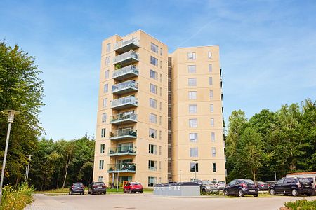 Bredhøj, 1, 4.tv., Silkeborg, 8600 - Photo 2