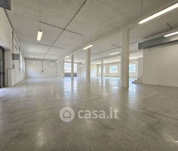Quadrilocale in Affitto in zona San Pietro a Legnago - Photo 4