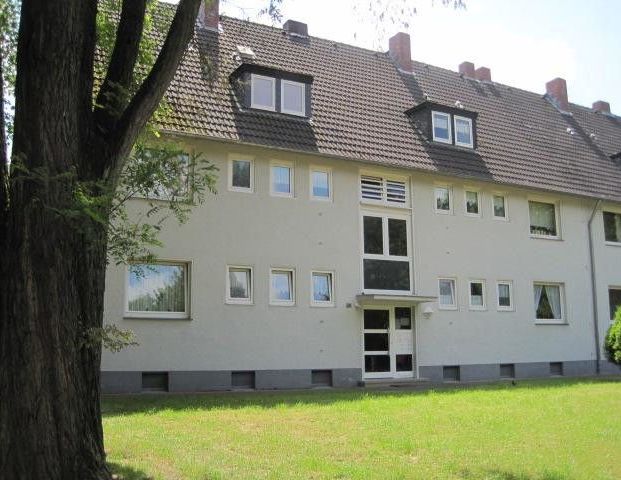 Reinkommen und Wohlfühlen: nette 3-Zi.-Wohnung ohne Balkon - Photo 1