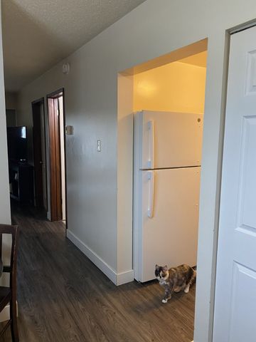 Spruce Street - 1904 - 102 - Photo 5