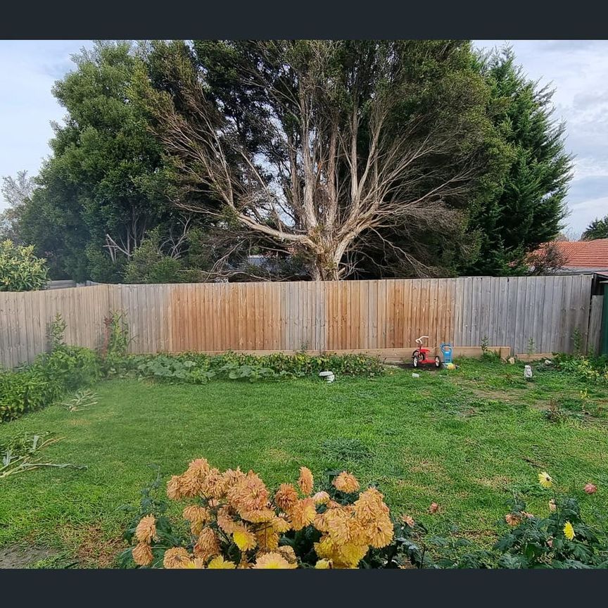 3bedroom House!!! - Photo 1