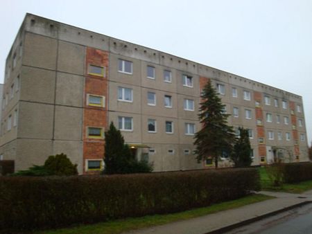 Neuwertige 3 Raumwohnung im 1. OG in Velgast! - Foto 4