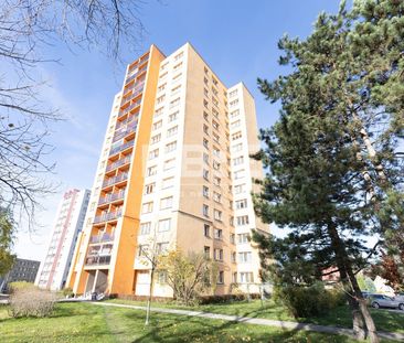 Pronájem bytu 1+kk 30 m² - Photo 2