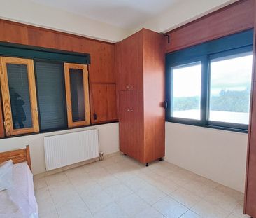 Μονοκατοικία για ενοικίαση Άγιοι Θεόδωροι (Πτελεός) - Φωτογραφία 6