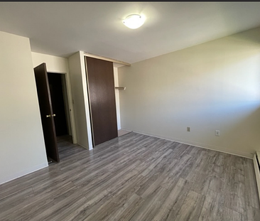 1 Bedroom Apartment in Lawson Heights - Photo 1