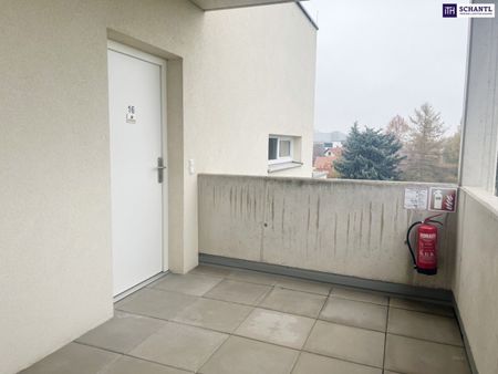 RIESIGE WESTTERRASSE mit 36m²! 2-Zimmer Wohnung im obersten Stock! Ab sofort verfügbar! Haustiere erlaubt! - Photo 2