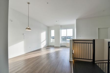 9675 Av. Papineau - Photo 3