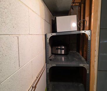 For Lease - 33 Broomfield Drive Unit# Basement, Toronto, Ontario - Photo 6