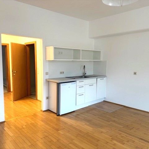 Singlewohnung mit Parkplatz in bester Lage Nähe Donau-Uni zu vermieten - Foto 1