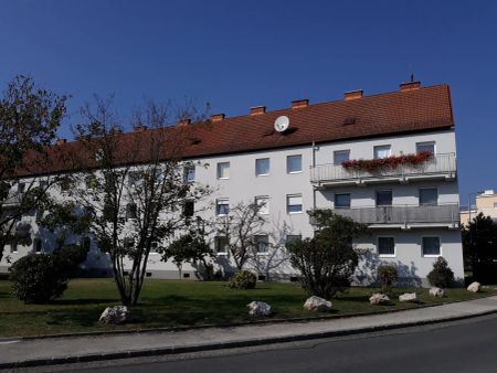3-Zimmer-Wohnung, Top 251 - Foto 5