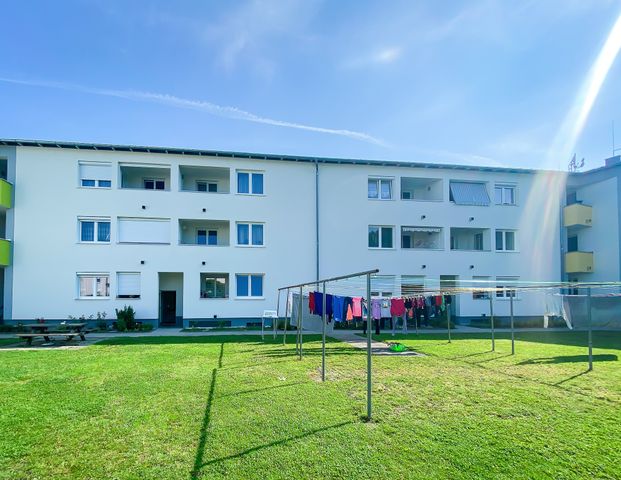 4050 Traun, Albert-Schweitzer-Allee 44/013 - Photo 1