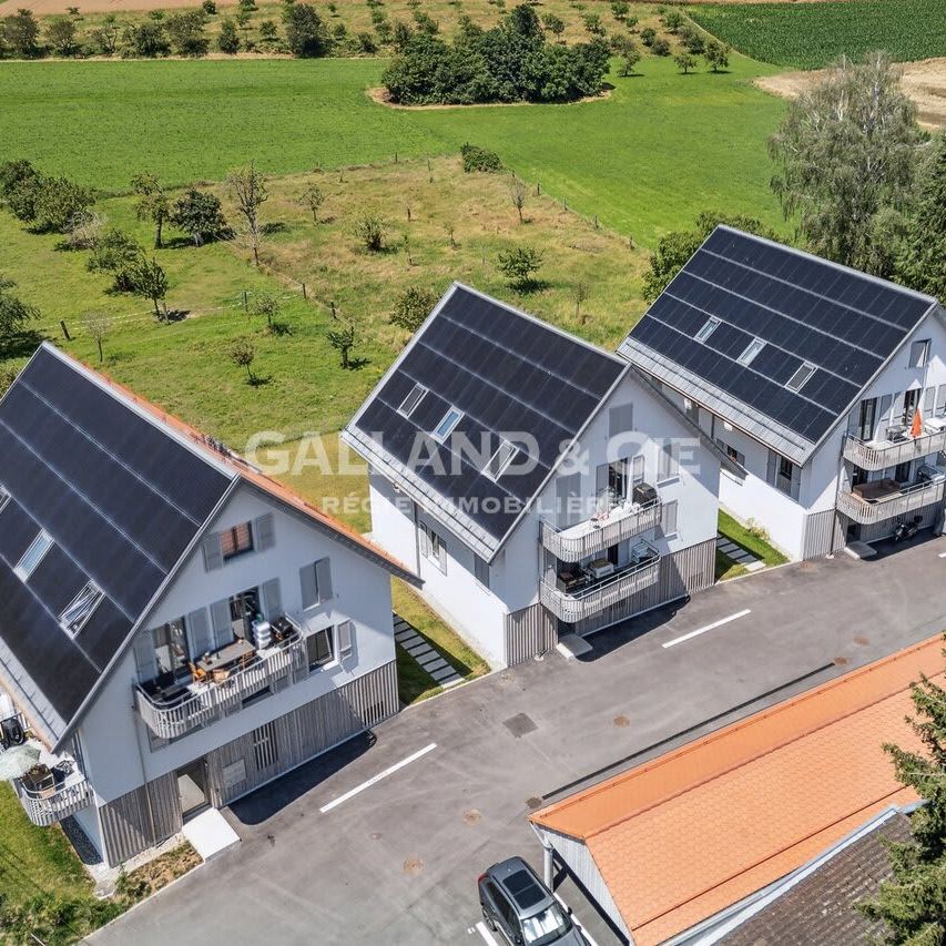 3.5 Zimmer, 71 m², EG - Foto 1