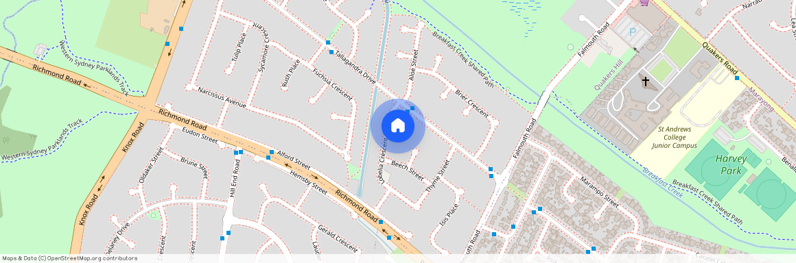 8 Lobelia Crescent, Quakers Hill NSW 2763