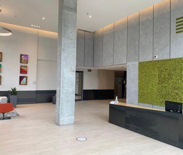 385 Rue St Martin Montréal (Le Sud-Ouest), QC H3J - Photo 1