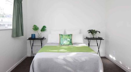 Spacious 3-Bed Home in Mangapapa – Available Now! - Photo 4