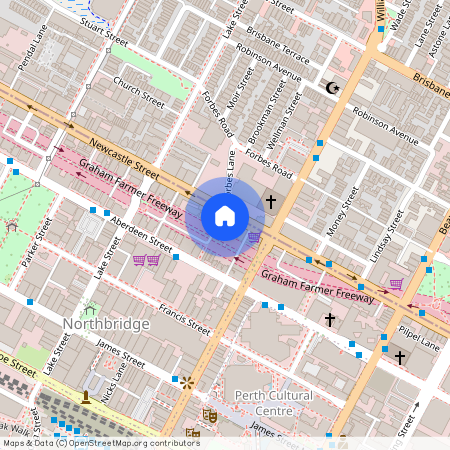 219 Newcastle Street, WA 6003, Northbridge