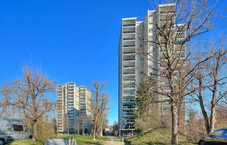 Première location après rénovation totale - Foto 5