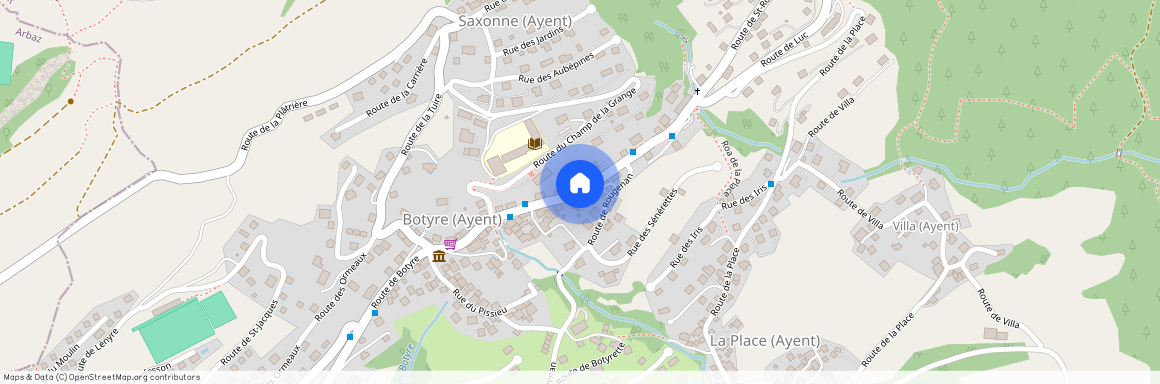 Rue de Botyre 40 1966 Ayent