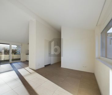 SUNNY, QUIET WITH A WIDE VIEW - Photo 1