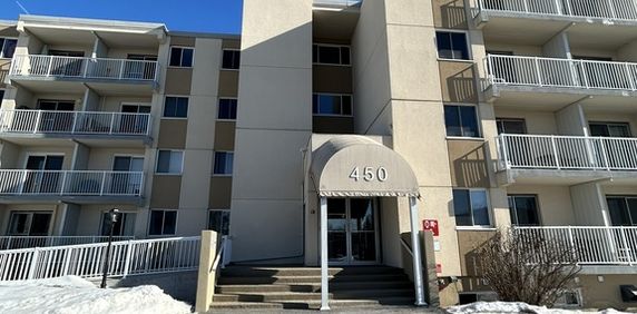 PRÈS DE TOUT À AYLMER-LOGEMENT 1CHAMBRE - Photo 2