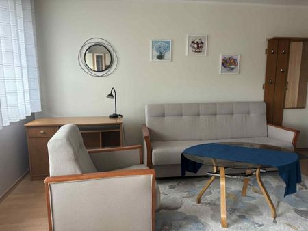 Mieszkanie do wynajęcia 1 pokoje Stanisława Szczepanowskiego, Poz 28.8 m² - Photo 2