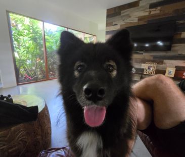 Bells Creek - Photo 1