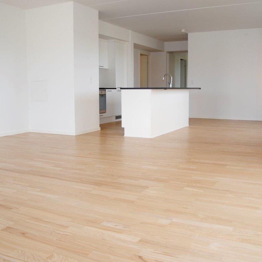 Møgelparken - Foto 1