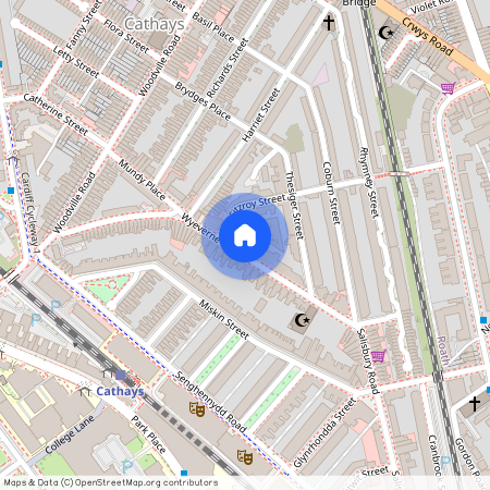 Wyeverne Road, CF24 4BH, Cathays