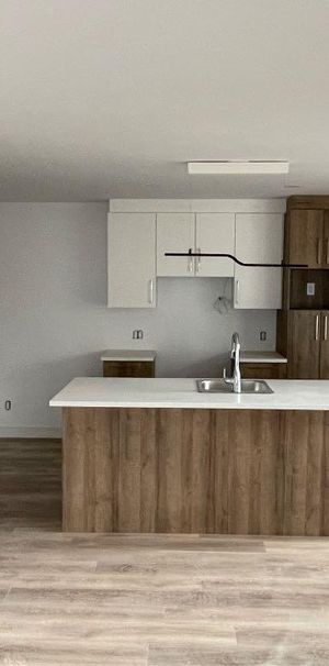 Grands 5½ - Demi-sous-sol, construction neuve - Photo 1