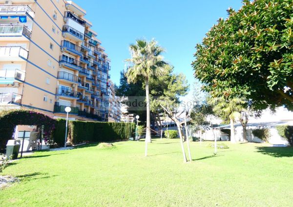 Apartamento en alquiler en Puerto Marina