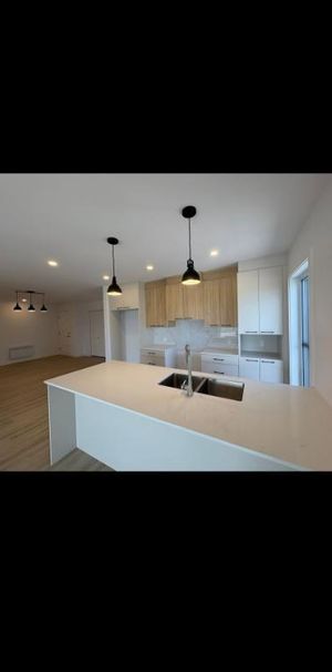 Grand 5 1/2 à louer- Saint-Dominique - Photo 1