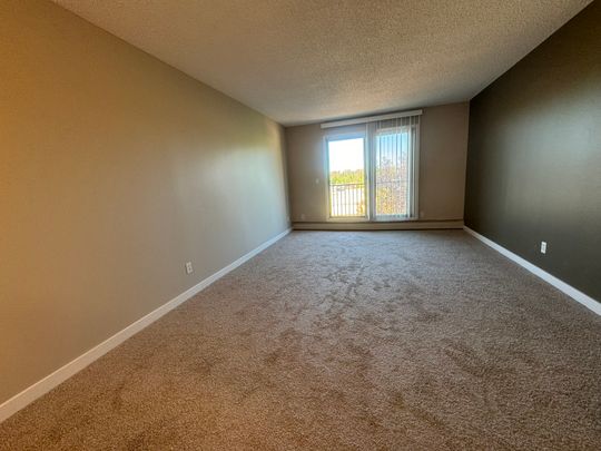Spacious 2 Bedroom Cat Friendly Suite in Clearview! - Photo 1