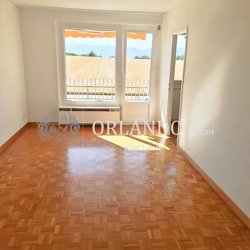 Bel appartement de 3 pièces à Meinier - Foto 1