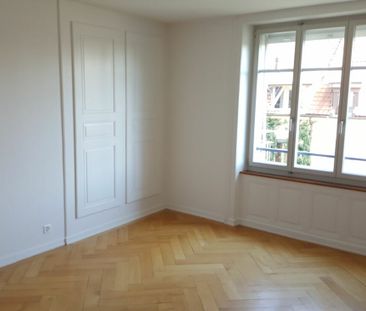 Schöne renovierte Wohnung und Loft nähe Stadtpark - Photo 1