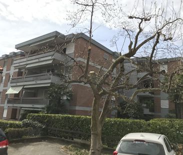 ASCONA, grosse 1 ½ Zimmerwohnung zu vermieten - Foto 1
