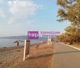 Διαμέρισμα για ενοικίαση - Δαφνούσες, - Photo 3