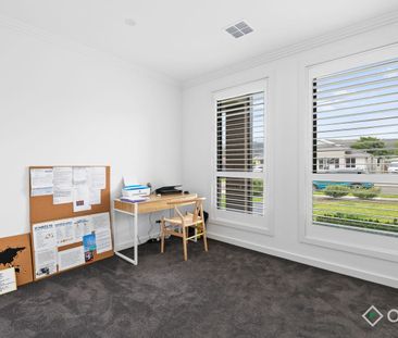 Get the Best of Burke – Comfort and Style Combined! - Photo 3